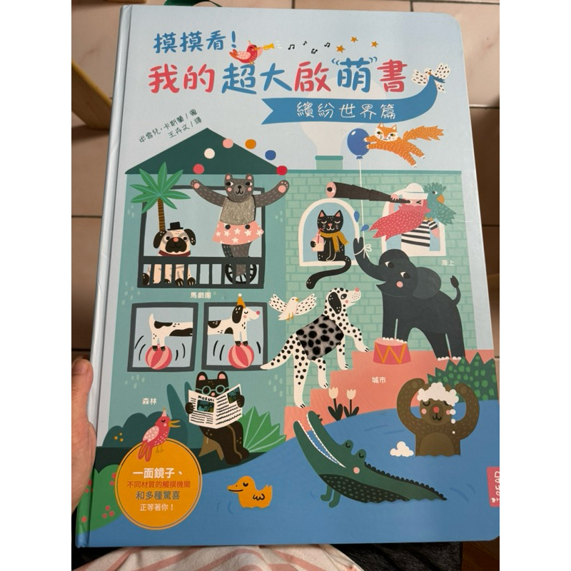 二手8成新/新北永和自取/摸摸看我的超大啟萌書