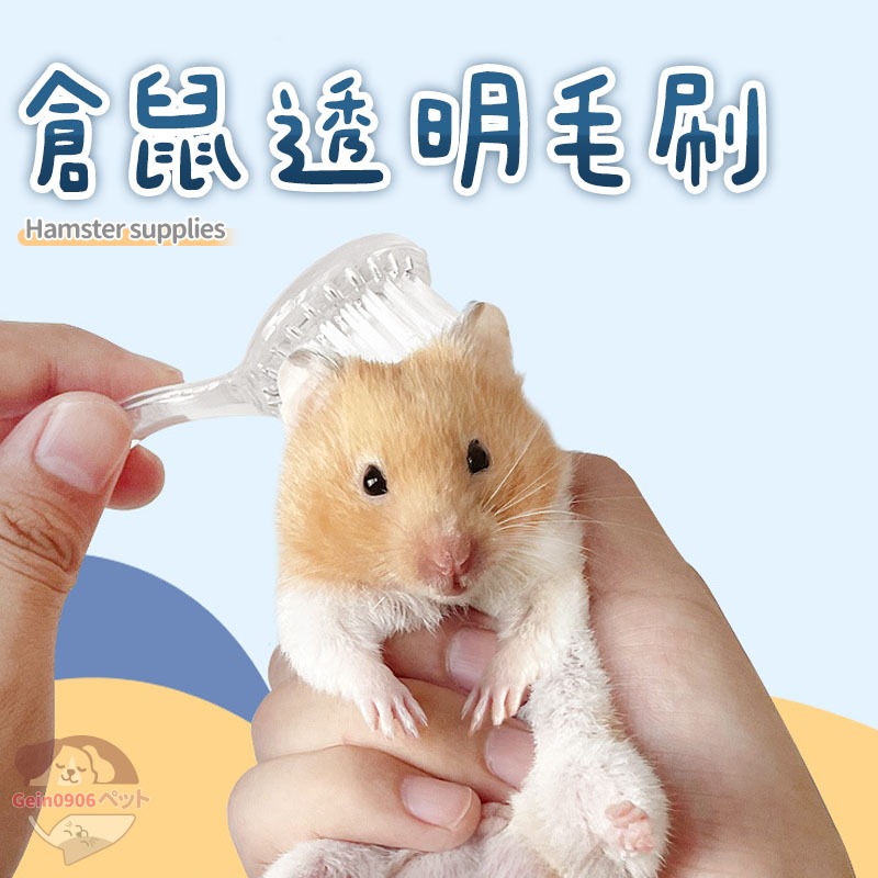 倉鼠清潔毛刷 小寵物毛刷 倉鼠按摩刷子 毛刷 金絲熊毛刷 黃金鼠 三線鼠 天竺鼠 寵物用品  寵物毛髮護理