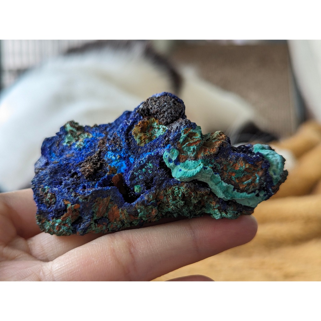 藍銅礦共生孔雀石 🌷天然晶礦 原礦
