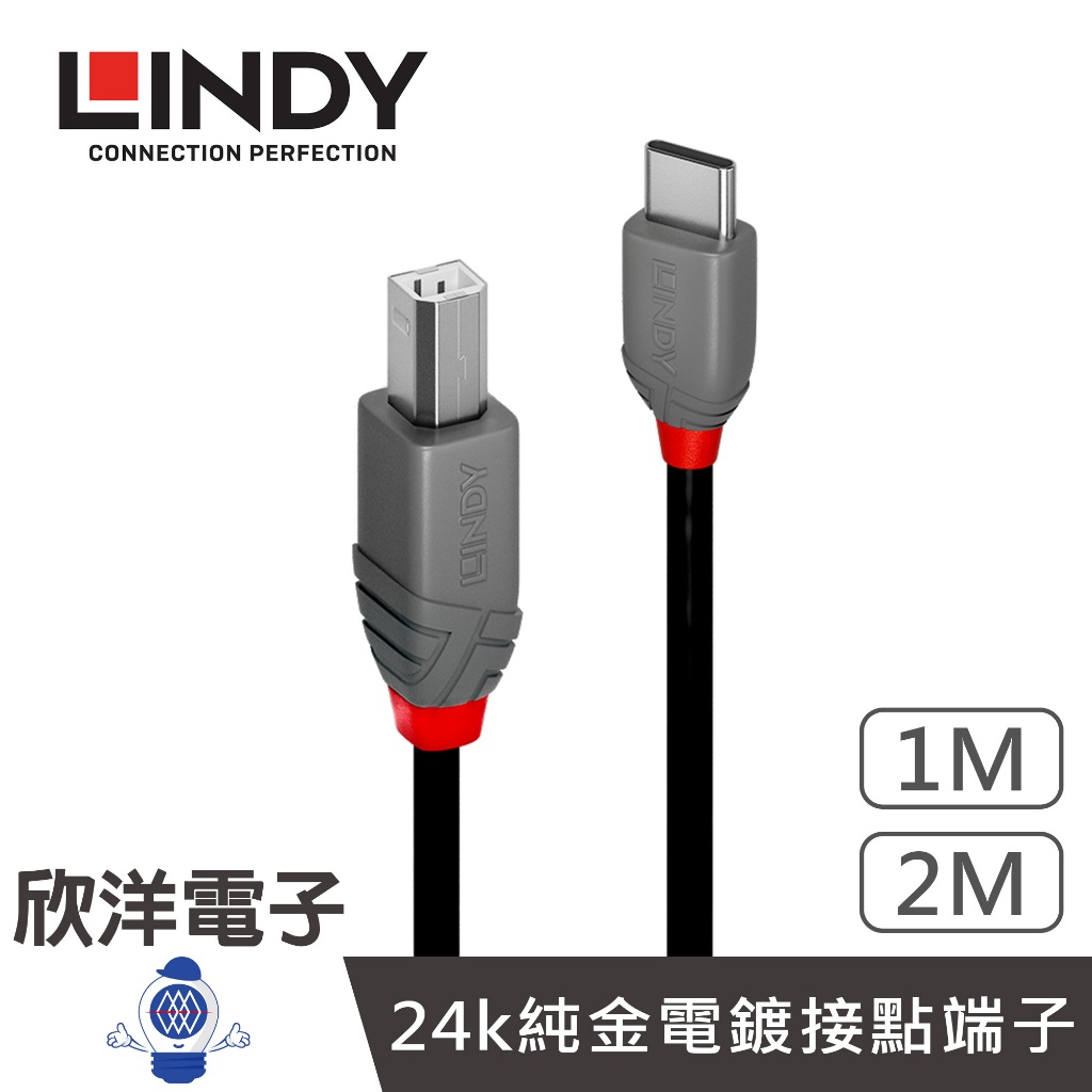 LINDY林帝 Type-C to B USB2.0 Type-C 公 TO Type-B 公 傳輸線 1公尺 2公尺