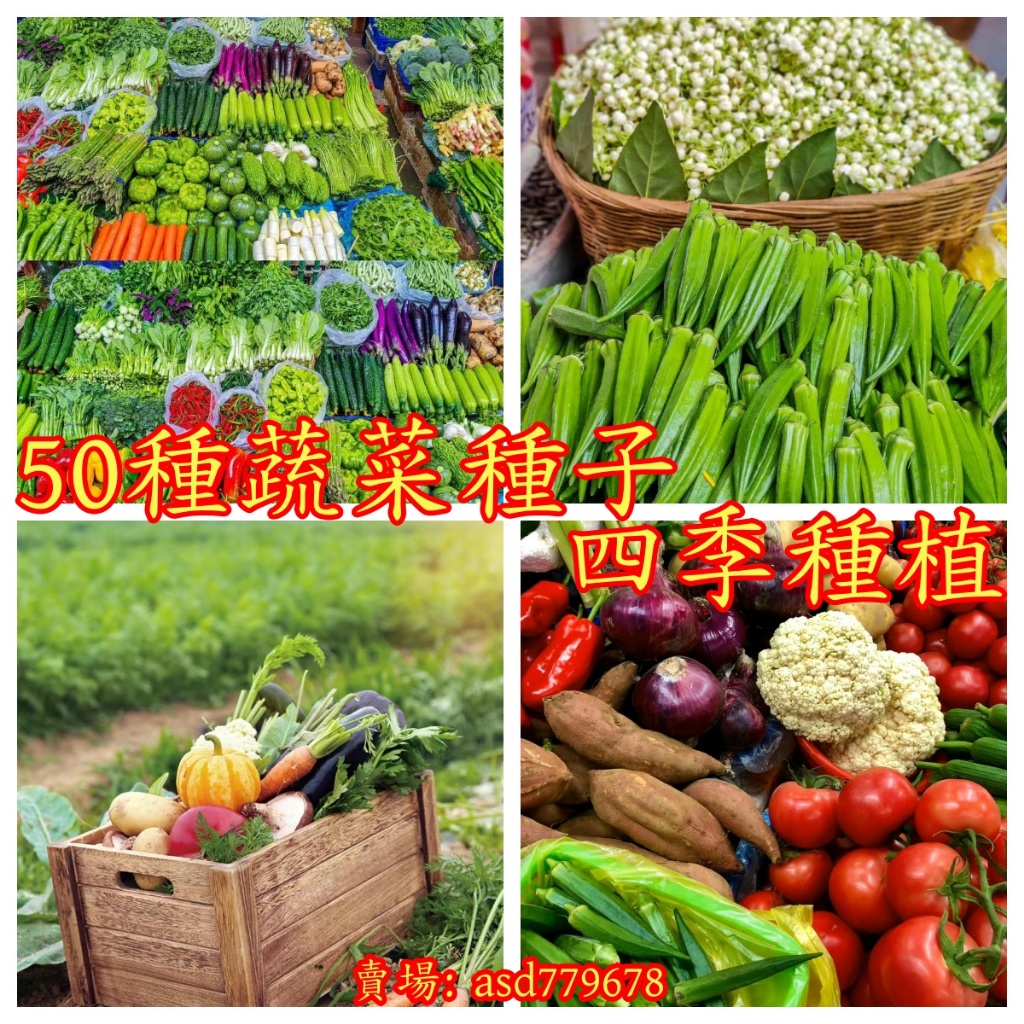 🌺【超多款菜種子】 菜種子大全 蔬菜種子 多款蔬菜種子 上海青 四季小白菜 蔥 玉米 番茄 空心菜
