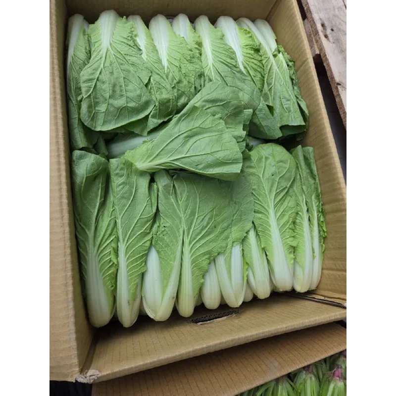 【仙菓園 現貨】🇹🇼蚵白菜🥬一包半斤售
