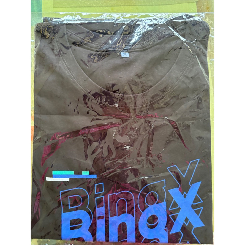 全新 BING X BINGX  衣服 上衣 短袖