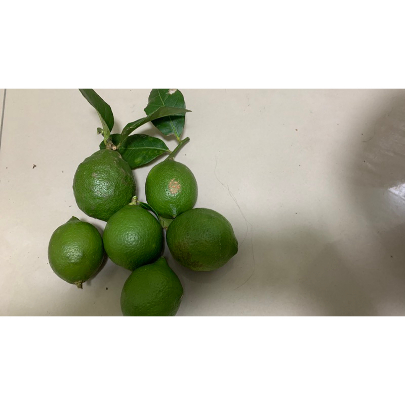 【檸檬Lemon】多汁檸檬. 一斤35元