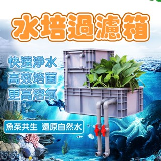 魚池過濾器 烏龜缸過濾箱 魚缸流水瀑布 魚池缸滴流盒 魚池過濾箱 水族過濾盒 淨水神器 1天清澈見底出水
