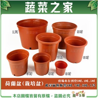 【蔬菜之家滿額免運】荷蘭盆(栽培盆)6吋.7吋.8吋.1尺※賣場另有其他尺寸※紅盆 種植盆 花盆 栽植盆 塑膠花盆 育苗
