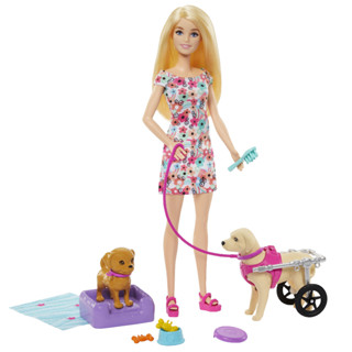 MATTEL 芭比照護寵物組-小狗輪椅版 Barbie 芭比 娃娃 正版 美泰兒