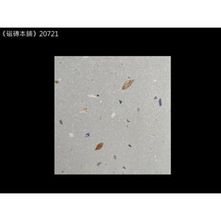 《磁磚本舖》 數位噴墨 20721 20x20公分灰色水磨石 花磚 地壁可用 石英磚 臺灣製造