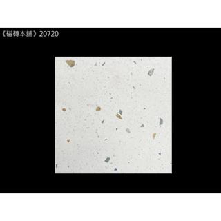 《磁磚本舖》 數位噴墨 20720 20x20公分 白色水磨石 花磚 地壁可用 石英磚 臺灣製造