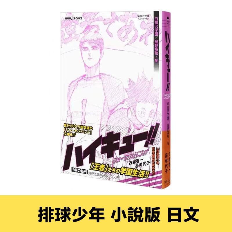 排球少年小說版 日文 排球少年十週年編年史同捆版日版 排球少年原畫集