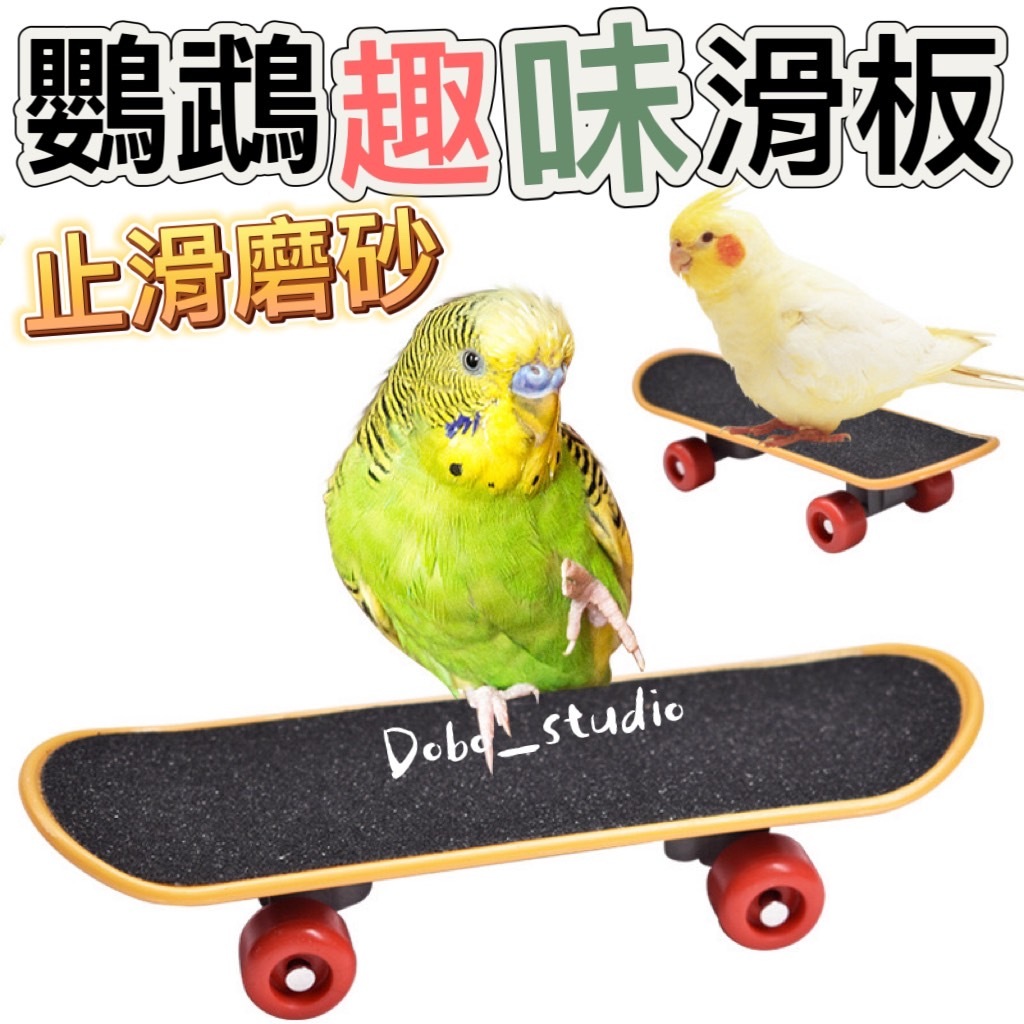 台灣出貨🍀鸚鵡趣味滑板 手指滑板 鸚鵡訓練 手指板 牡丹 玄鳳 小太陽 滑板車 訓練滑板 鸚鵡滑板車 益智 鸚鵡腳下玩具