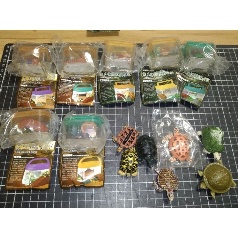 烏龜圖鑑飼養盒扭蛋/烏龜扭蛋/烏龜公仔