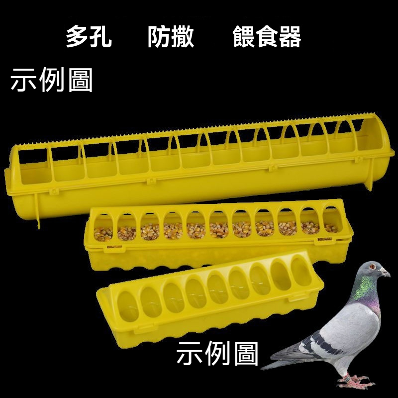 鴿子食槽 防撒食盒 帶蓋款式小蘆丁雞飼料餵食器 信鴿糧料槽 鴿子用具