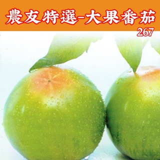 【現貨】大果番茄-農友267【農友種苗】 農友種苗 "特選蔬果種子" 每包約20粒 保證新鮮種子