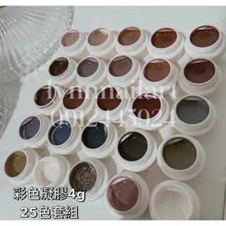 熱銷【套組現貨】🔥 Palette Carys 日本製 彩色凝膠 9色套組 美甲 凝膠 25色套組 水晶糖透光絲絨緞光貓