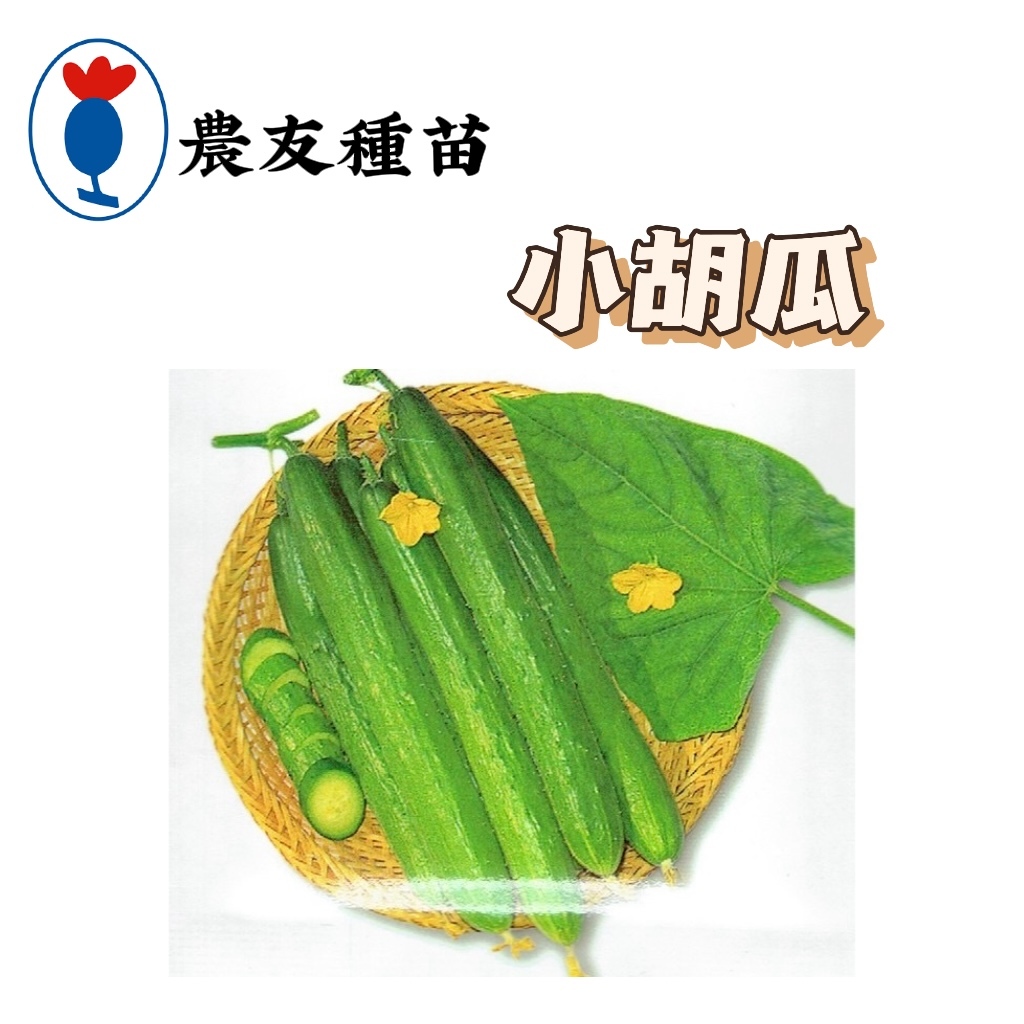 小胡瓜  Cucumber【農友種苗】小黃瓜種子 小胡瓜種子 蔬果原包裝種子 每包約20粒 保證新鮮種子
