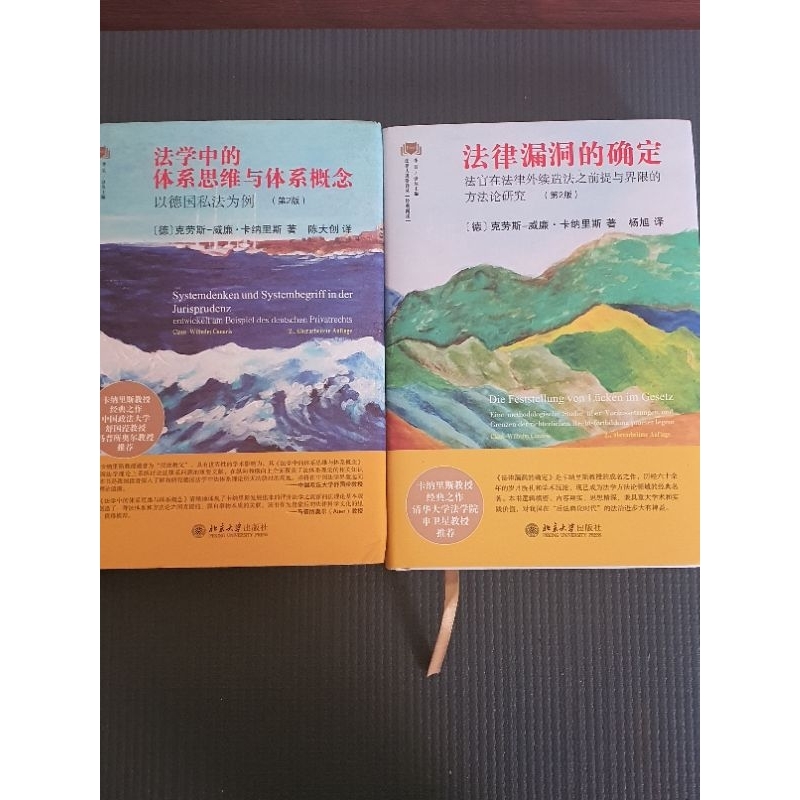法律漏洞的確定，法學中體系思維與體系概念