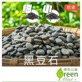 黑豆石 天然石頭 多肉介質 鋪面裝飾 裝飾石 水族 多肉植物鋪面 景觀 園藝 盆栽【綠色山嵐】