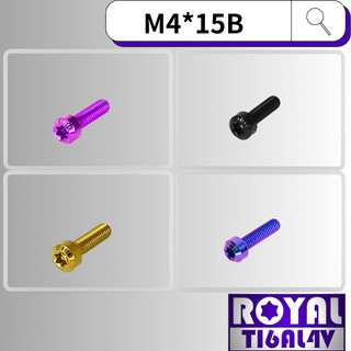 【瘋螺絲】ROYAL 鈦合金螺絲★ M4*15B P:0.7 錐形螺絲★64鈦/正鈦/鈦合金螺絲★出貨附發票 ★五色可選