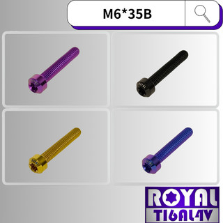 【瘋螺絲】ROYAL 鈦合金螺絲★ M6*35B P:1.0 錐形螺絲★ 64鈦/正鈦/鈦合金螺絲★出貨附發票★五色可選