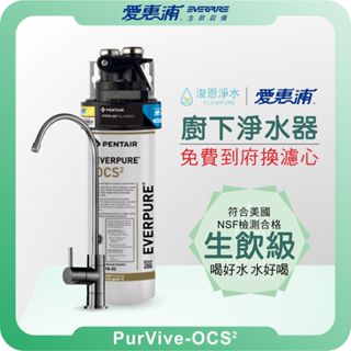 EVERPURE 愛惠浦 OCS2 廚下淨水器 ( 淨水器 濾水器 飲水機 濾芯 濾心 過濾器 愛惠普 愛惠浦淨水器 )