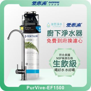 EVERPURE 愛惠浦 EF1500 廚下淨水器 淨水器 濾水器 飲水機 濾芯 濾心 過濾器 愛惠普 愛惠浦淨水器