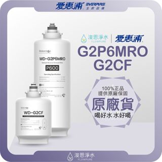 【原廠公司貨】愛惠浦 g2p600 濾心 wd-g2cf wd-g2p6mro 濾芯 愛惠浦濾心 愛惠浦濾芯 愛惠普