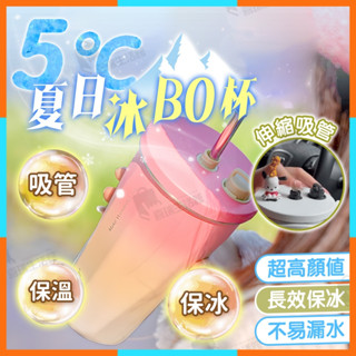 ✨臺灣清倉✨5度C_夏日冰BO杯 TYESO吸管杯 吸管伸縮冰壩杯 咖啡隨身杯 保冷冰壩杯 保冷杯不鏽鋼 手提冰霸杯