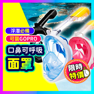 ▶浮潛必備 臺灣現貨◀ 潛水面罩 浮淺面罩 潛水面鏡 浮淺面鏡 潛水蛙鏡 乾式面罩 潛水鏡 蛙鏡 浮潛必備 游泳新手
