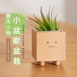 [臺灣設計] 小盆獸盆栽 造型花器 方形盆器 花盆 室內小盆栽 交換禮物 生日禮物 童心木 TOSMU 多肉