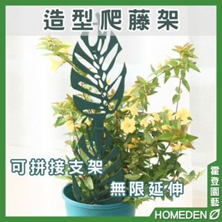 【隔日到貨】造型爬藤架 植物支架 網格支架 梯形爬藤架 藤蔓支架 山烏龜支架 蔓綠絨支架 花架【HOMEDEN霍登園藝】