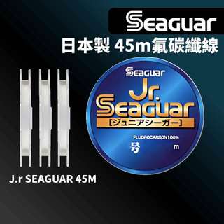 【獵漁人】Seaguar Jr. SEAGUAR 日本製氣碳纖線 前導線 子線 卡夢線 釣魚線