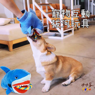❤️臺灣現貨天天出❤️ 寵物互動手套 狗狗玩具 寵物玩具 狗玩具 小狗玩具 寵物手套 狗狗拔河 狗狗咬繩 寵物咬繩