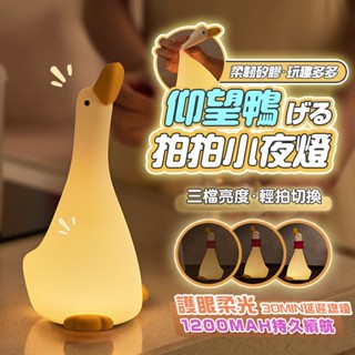 【宅宅照明五金】仰望鴨夜燈 小夜燈 拍拍燈 鴨子夜燈 可愛小夜燈 led小夜燈 造型夜燈 usb夜燈 聖誕禮物 交換禮物