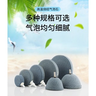 陸龜驛站｜圓柱型 圓球 長柱型 金剛砂氣泡石 溶氧量 打氣機 風管 打氣幫浦 金鋼砂 氣泡石