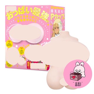 EXE｜任性彈穴 普妮安娜 奇蹟爆乳 DX雙穴女體 美尻 美乳 中大型自慰套 男性情趣用品 喜翻情趣 台灣快速出貨