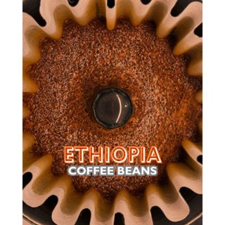 豆人咖啡 Domain Coffee | 衣索比亞 專區 淺焙 耶加雪菲 / JARC 經典批次 | 自家烘焙 咖啡