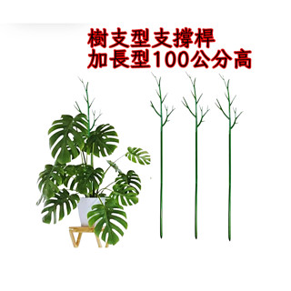 圓葉山烏龜 爬藤植物樹枝型 支撐桿 加長型100公分高 植物支撐桿 植物支架 龜背芋 雨林植物 觀葉植物