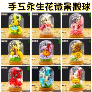 現貨 兒童DIY材料包 /軟木塞玻璃罩/水晶玻璃球/永生花/乾燥花/模擬森林微景觀手工帶燈生態瓶 水晶球玻璃生態瓶