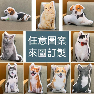 客製化異形貓咪抱枕 訂製寵物抱枕 客製抱枕 醜貓抱枕 定製布娃娃無白邊 異形玩偶 無描邊 人物貓狗寵物 寵物紀念品