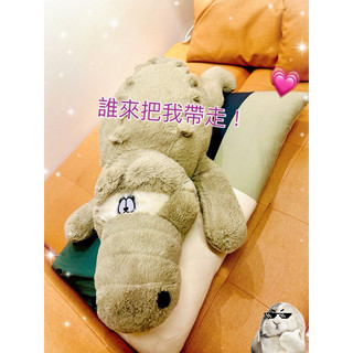 超大型抱枕‼️二手 ‼️鱷魚🐊填充娃娃 絨毛玩偶 下單前上聊聊！