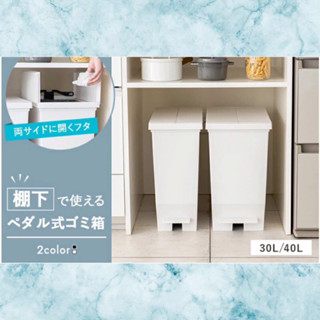 （2024秋季新品）-日本ASVEL-EBAN防臭踏板式雙開垃圾桶