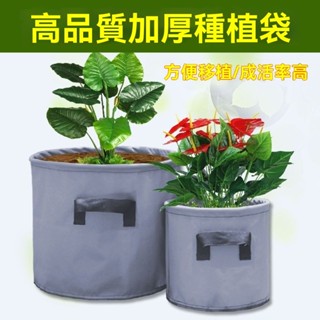 ⚡️加厚耐用⚡️牛津布 種植袋 樓頂種菜育苗袋 植花 陽臺 多肉種植袋 營養袋 蔬果美植袋 美植袋加高 種菜專用袋6