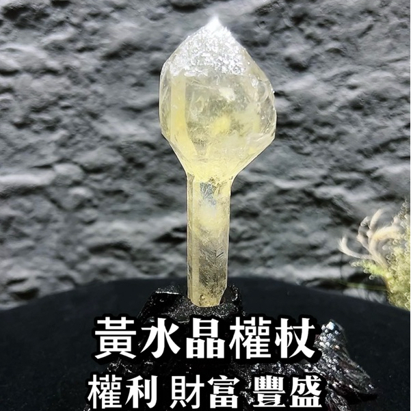 ｜豐碩之光 礦展級別 ｜ 黃水晶權杖  原礦 黃水晶 權杖水晶 占卜 身心靈 風水 瑜伽 閃靈鑽 骸骨