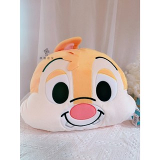 【保證正品】迪士尼 抱枕 奇奇蒂蒂抱枕 16吋 奇奇蒂蒂 靠枕