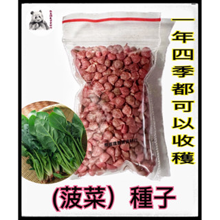 菠菜 菠菜種子 蔬菜原包裝種子 /包 新鮮種子