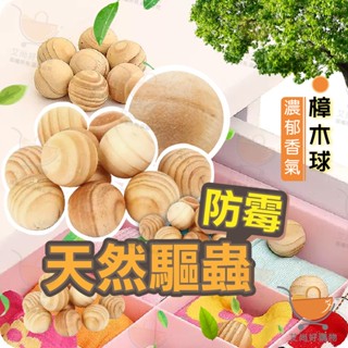 天然樟木球 樟木球 天然樟木 除濕除臭 防蚊驅蟲 天然香樟木 樟木條【臺灣現貨滿額免運】關注我們現領折價卷 艾尚好購物