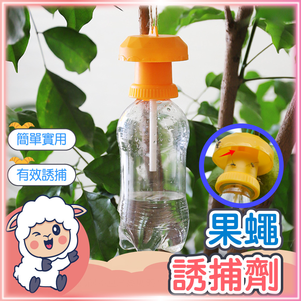【果蠅捕捉｜效果100%】果實蠅引誘劑 果蠅誘捕劑 瓜果蠅 瓜實蠅誘餌劑 誘捕劑 誘捕器 果園果蠅捕捉器 引誘劑 懶羊羊