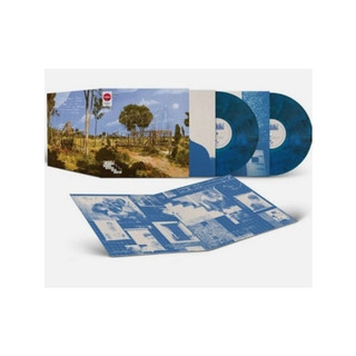 121 全新 現貨 ZAYN Room Under The Stairs Blue Smoke 2LP 美版藍煙燻唱片
