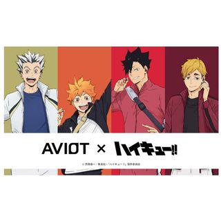 日版 AVIOT TE-Q3-HK 排球少年 聯名耳機
